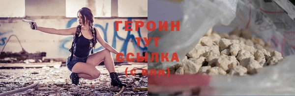 индика Гусь-Хрустальный