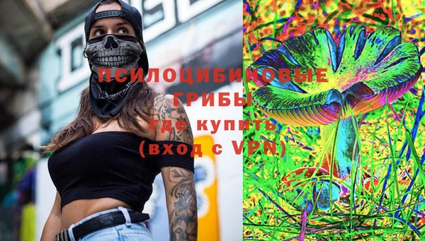 индика Гусь-Хрустальный