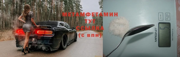 индика Гусь-Хрустальный