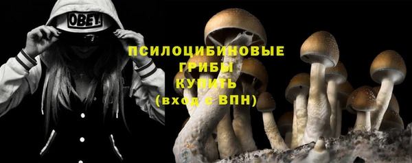 дмт Гусиноозёрск