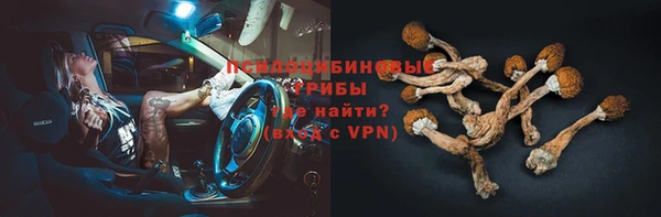 бошки Гусев