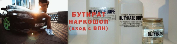 индика Гусь-Хрустальный