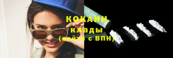 индика Гусь-Хрустальный
