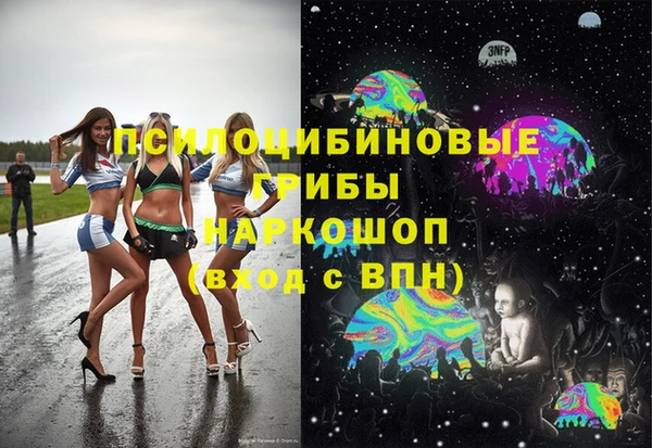 индика Гусь-Хрустальный