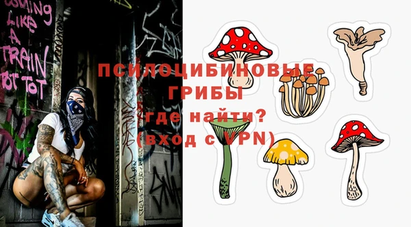 индика Гусь-Хрустальный