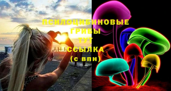 индика Гусь-Хрустальный