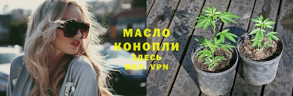 индика Гусь-Хрустальный