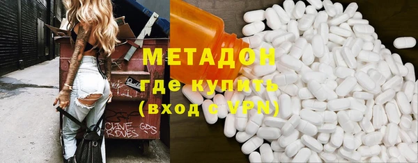 индика Гусь-Хрустальный