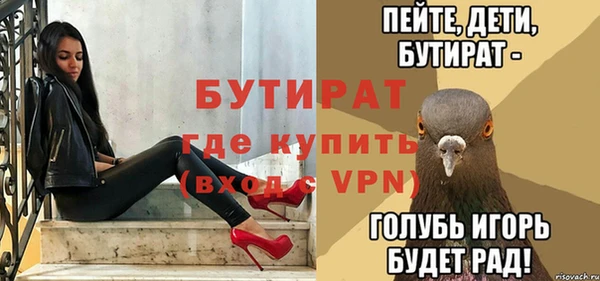 индика Гусь-Хрустальный